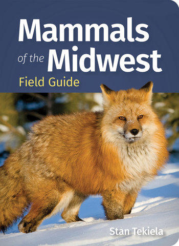 Mammals of the Midwest Field Guide