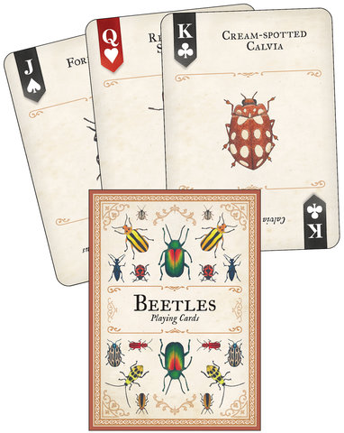 Beetles Playing Cards