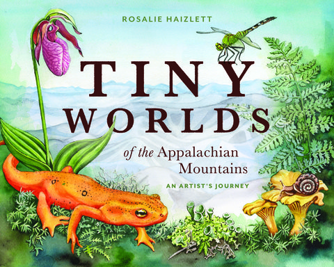 Tiny Worlds of the Appalachian Mountains