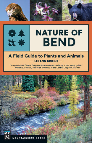 Nature of Bend
