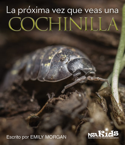 La próxima vez que veas una cochinilla