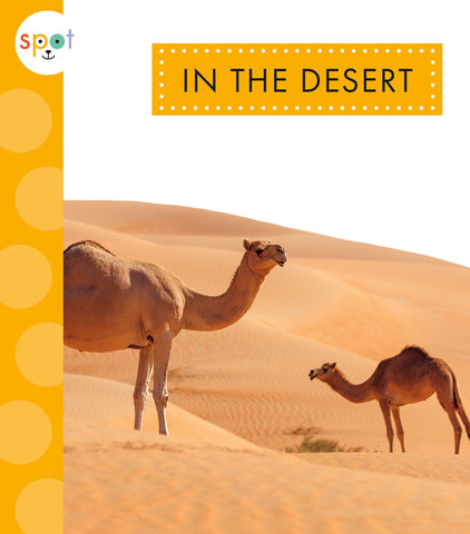 In the Desert