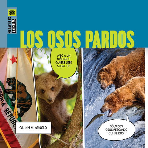 Los osos pardos