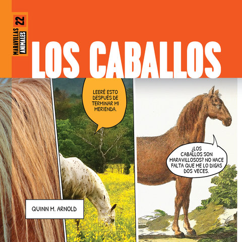 Los caballos