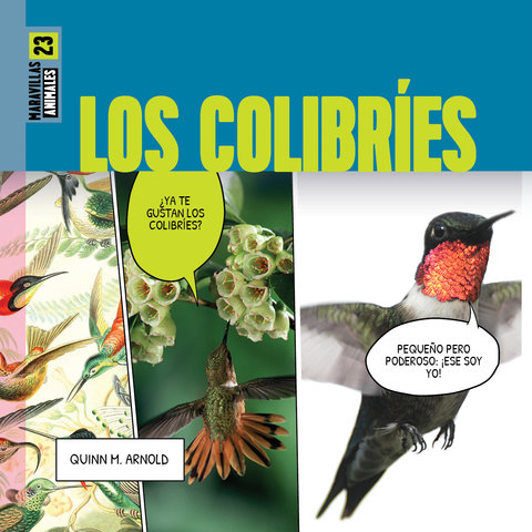 Los colibríes