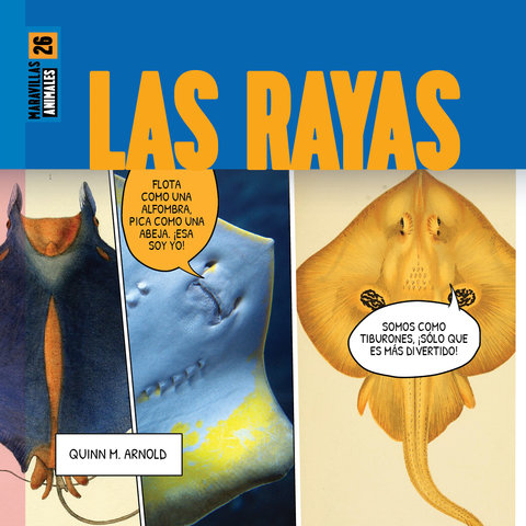 Las rayas