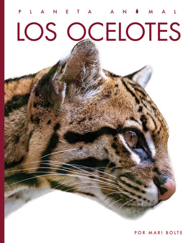 Los ocelotes