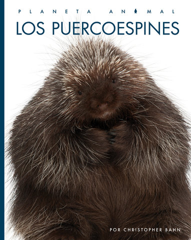 Los puercoespines
