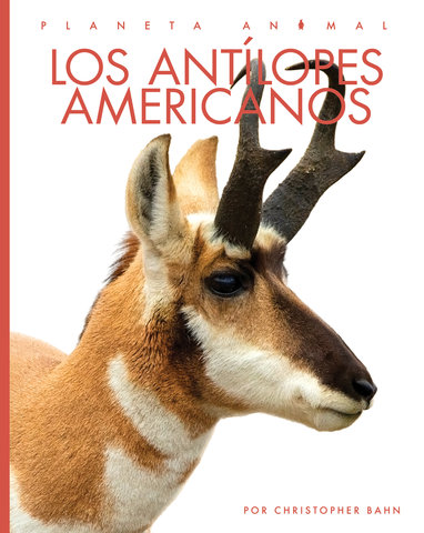 Los antílopes americanos