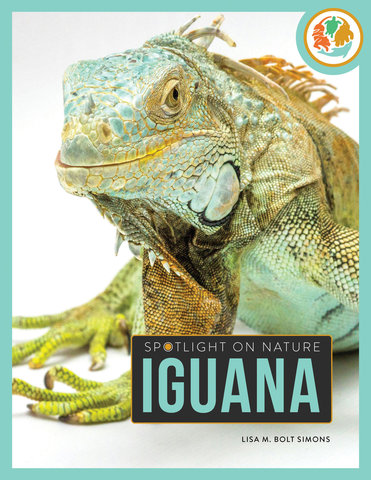 Iguana
