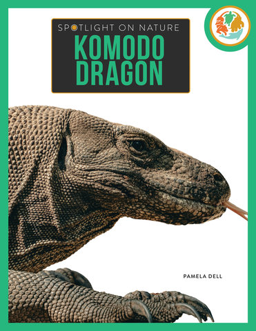 Komodo Dragon