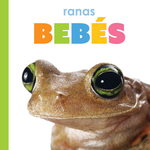 Ranas bebés