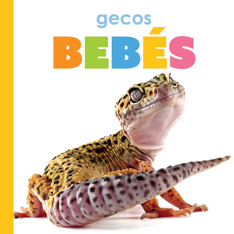 Gecos bebés