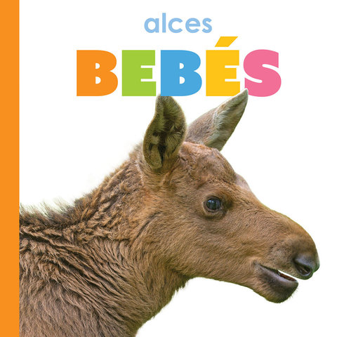 Alces bebés