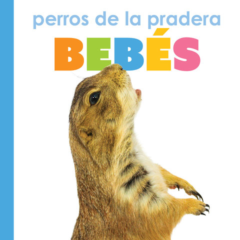 Perros de la pradera bebés
