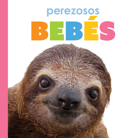 Perezosos bebés