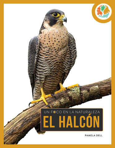 El halcón