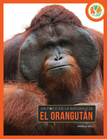 El orangután
