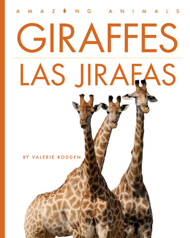Giraffes / Las jirafas