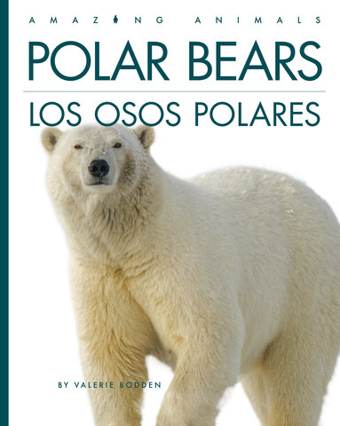 Polar Bears / Los osos polares