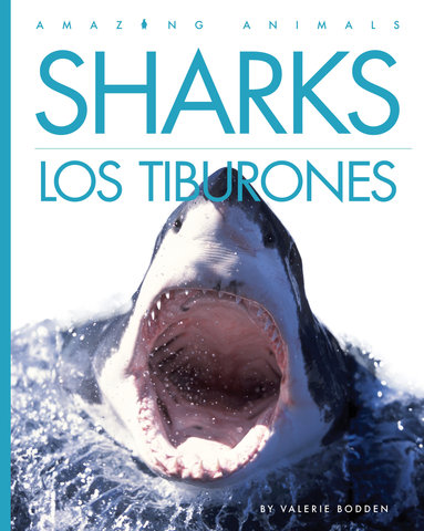 Sharks / Los tiburones