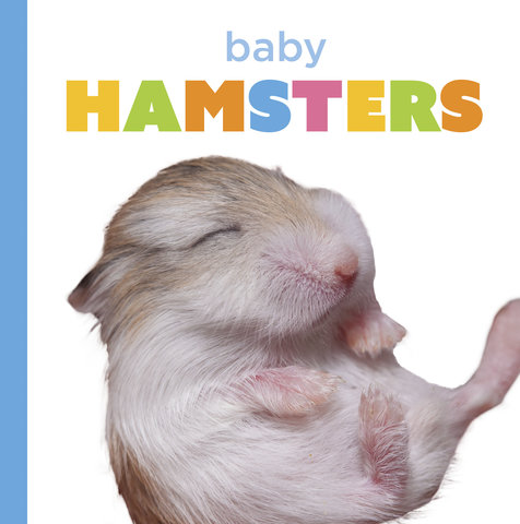 Baby Hamsters