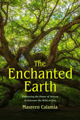 The Enchanted Earth
