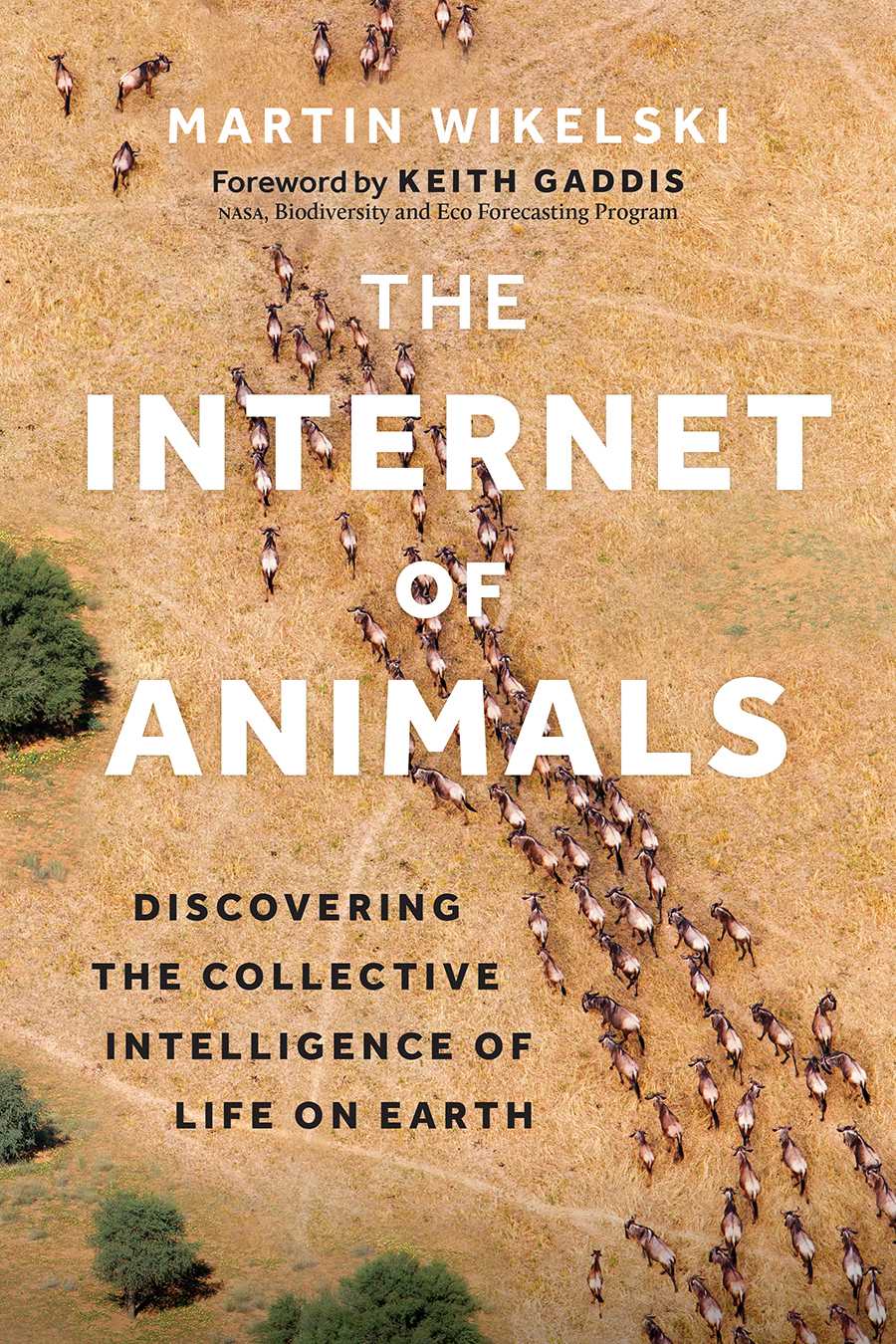 Internet of Animals, The