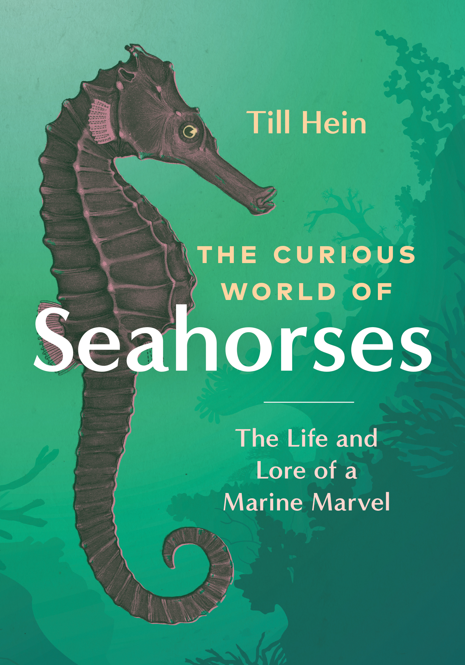 Curious World of Seahorses, The