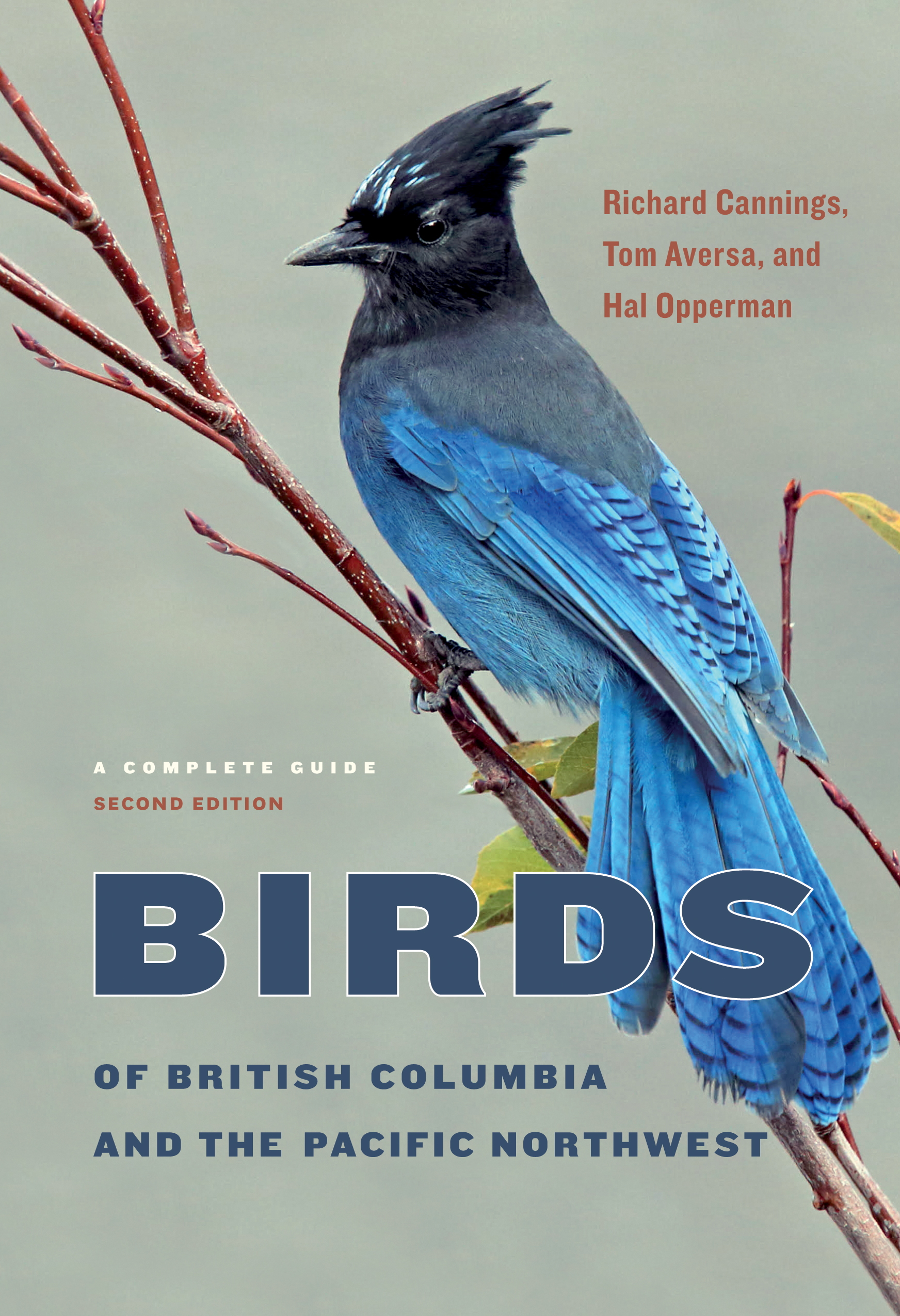 Birds of British Columbia & the Pacific Northwest