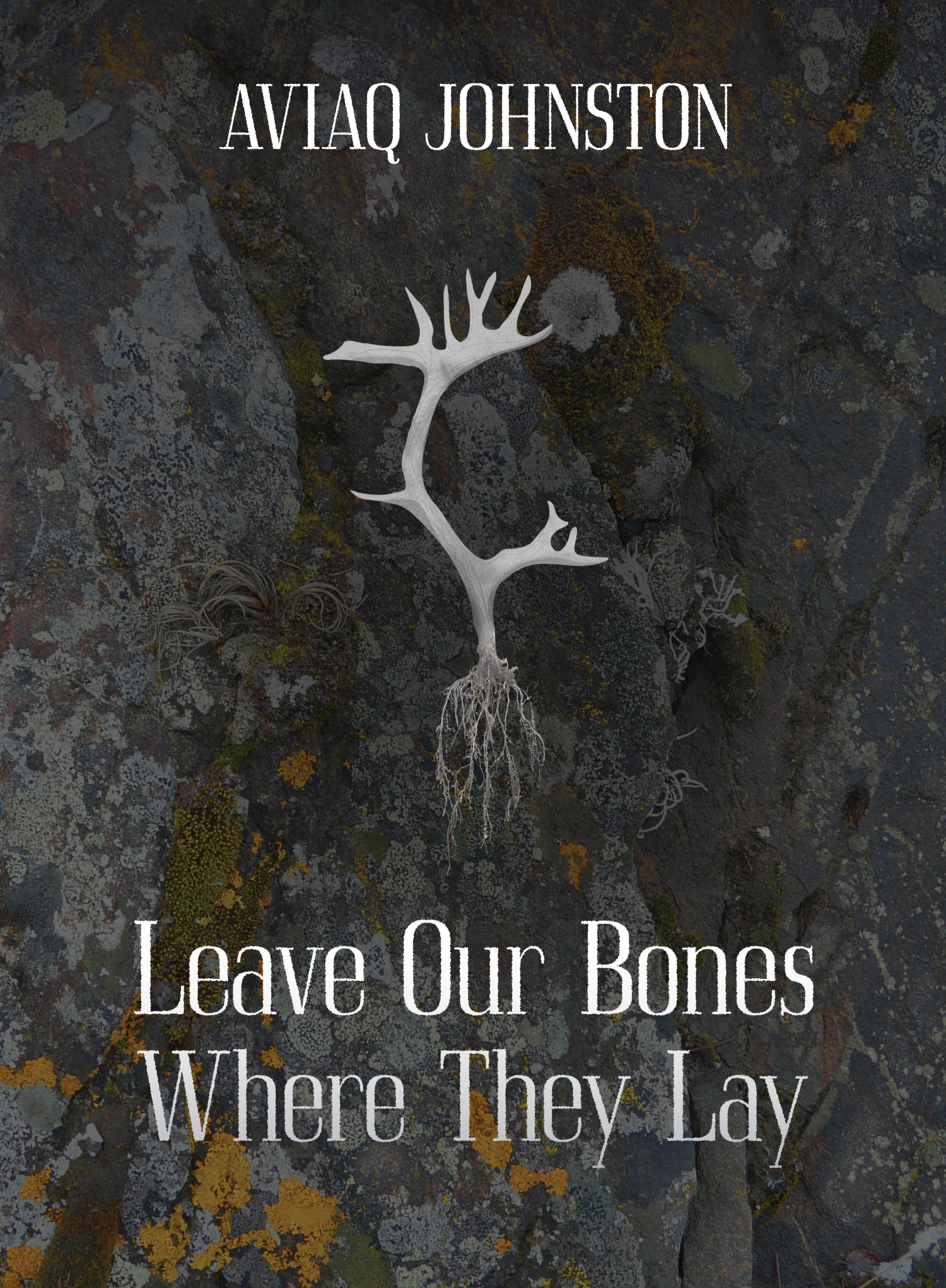 Leave Our Bones Where They Lay