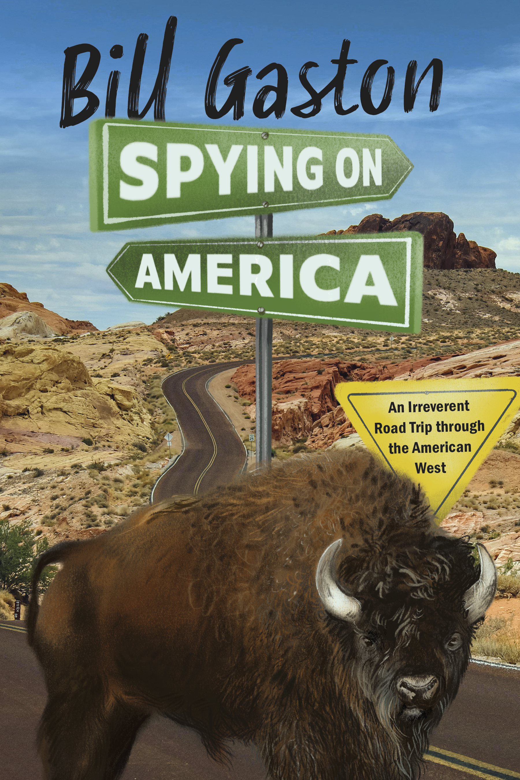 Spying on America