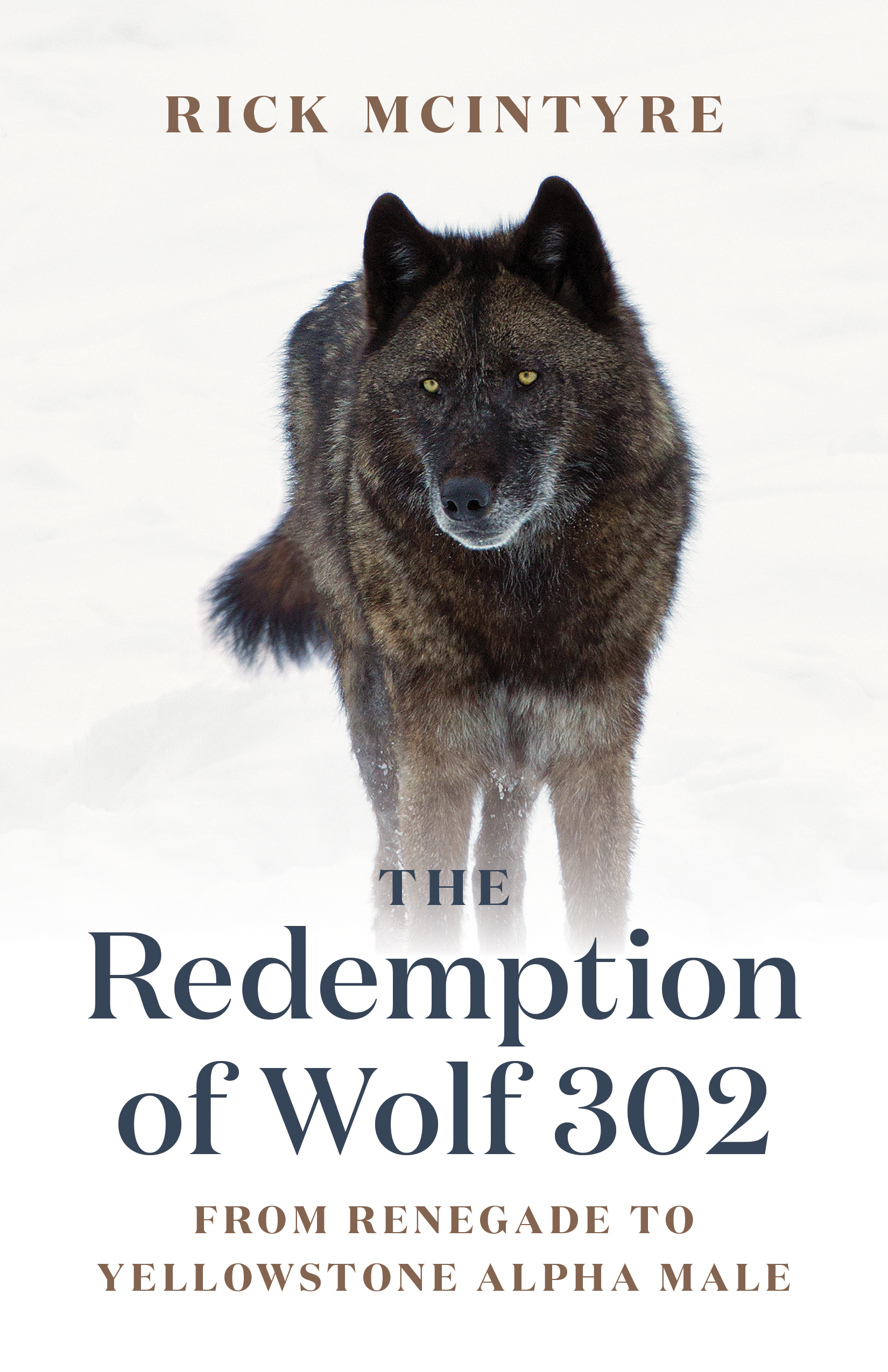Redemption of Wolf 302, The