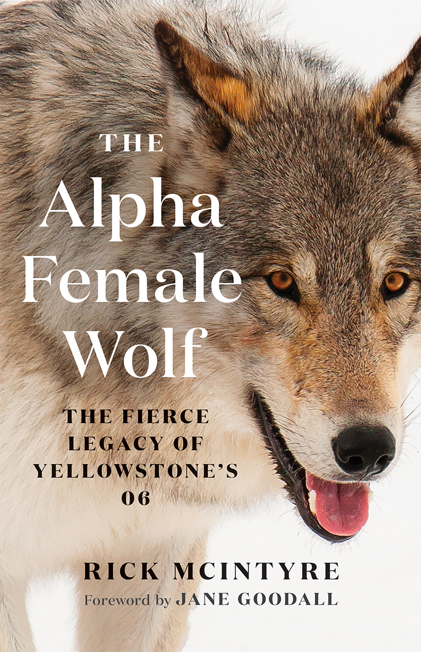 Alpha Female Wolf, The
