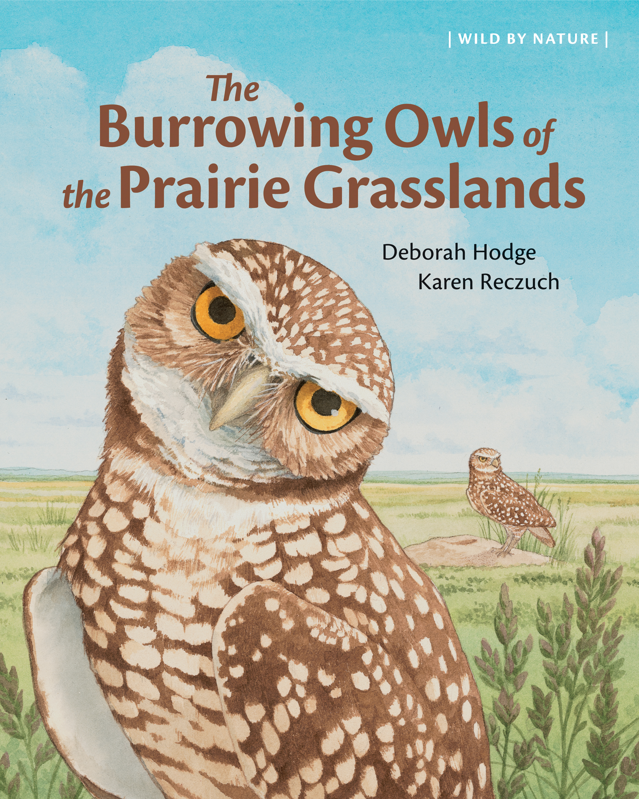 The Burrowing Owls of the Prairie Grasslands