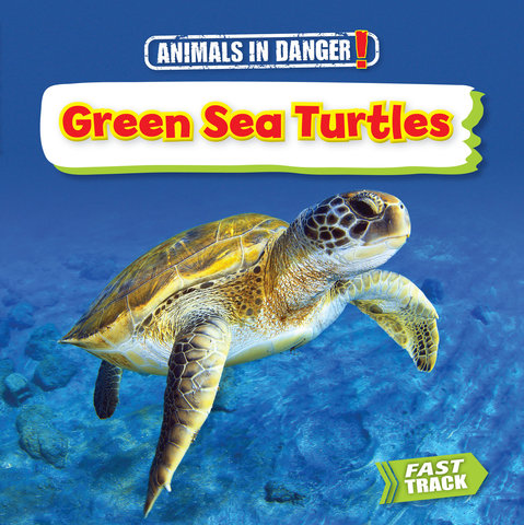Green Sea Turtles