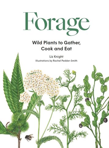 Forage