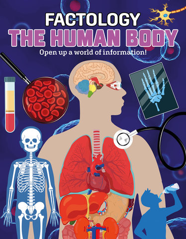 Factology: The Human Body