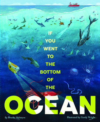 If You Went to the Bottom of the Ocean