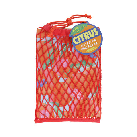 Paper Produce Oranges, Lemons, and Limes Notebook Collection