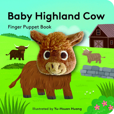 Baby Highland Cow
