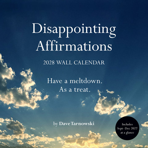 Disappointing Affirmations 2028 Wall Calendar