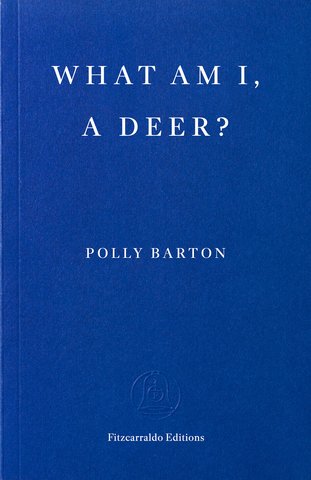What Am I, A Deer?