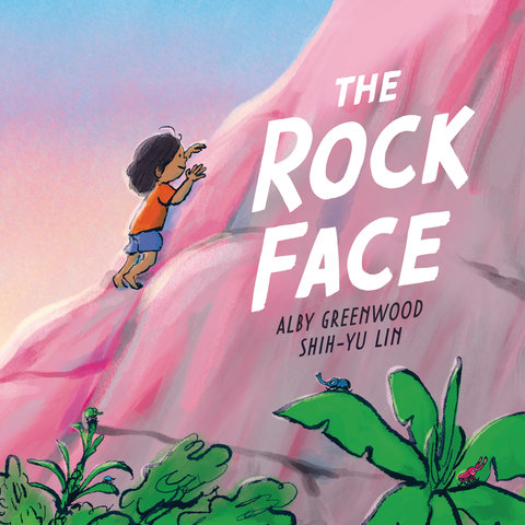 The Rock Face