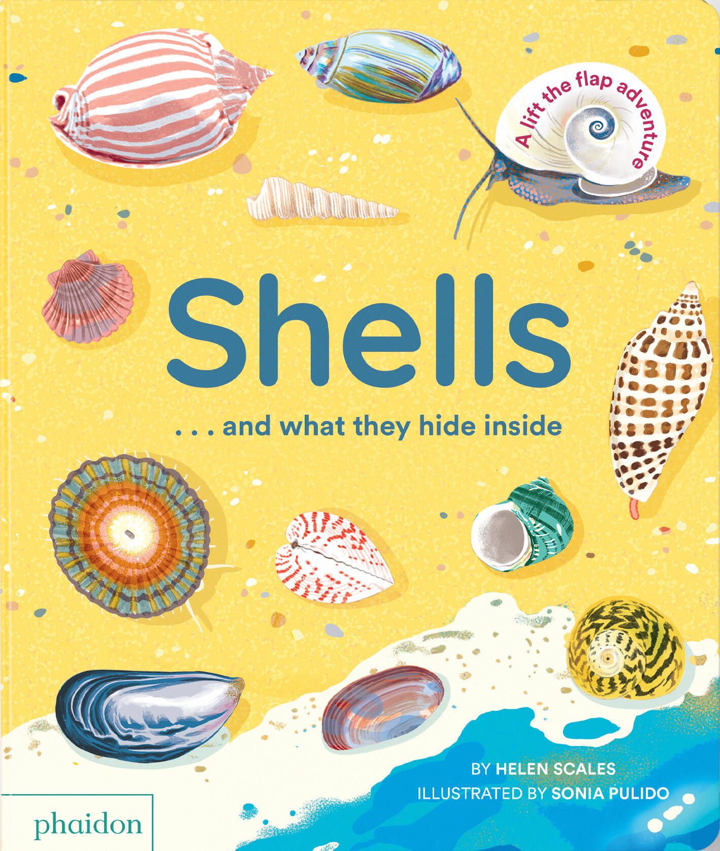 Shells... and what they hide inside