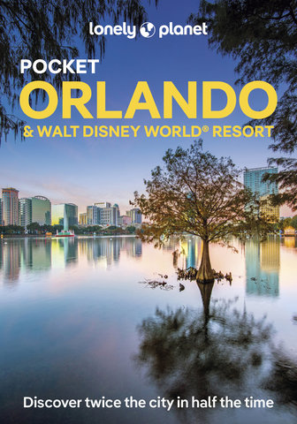 Pocket Orlando & Walt Disney World (R) Resort 4