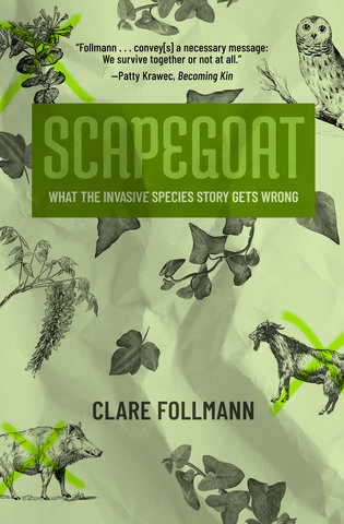 Scapegoat