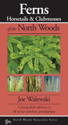 Ferns & Allies of the North Woods