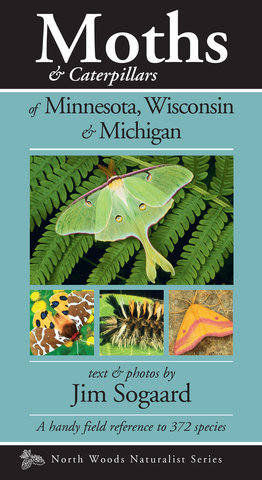 Moths & Caterpillars of Minnesota, Wisconsin & Michigan