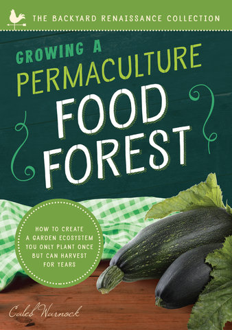 Growing a Permaculture Food Forest
